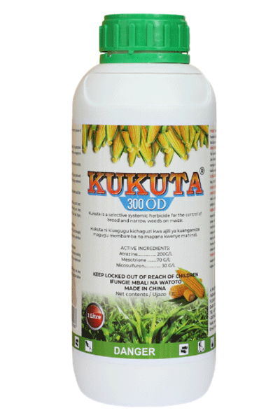 KUKUTA 300 OD